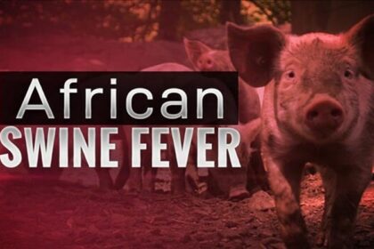 African Swine Fever: पटियाला के सूअरों के सैंपलों में मिला अफ्रीकन स्वाईन फीवर, पंजाब में ’कंट्रोल्ड एरिया’ घोषित, सुअर की मीट पर लगा प्रतिबंध