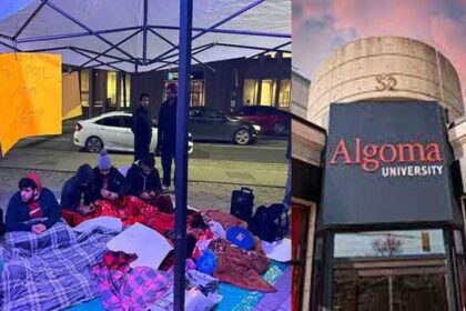 Canada News: कनाडा की यूनिवर्सिटी में पढ़ रहे पंजाब के 130 छात्र हुए फेल, छात्रों ने शुरू किया धरना प्रदर्शन, लगाए ये आरोप