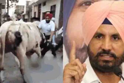 Amarinder Singh Raja Warring