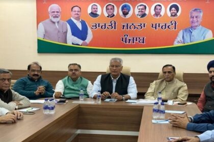 Punjab News: भाजपा को पंजाब की 13 सीटों पर चुनाव लड़ने के लिए मिले 231 आवेदन, जालंधर से इन नामों पर हो रहा सर्वे
