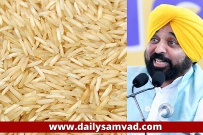 Punjab News: CM भगवंत मान ने केंद्र सरकार से की मांग, कहा- बासमती के निर्यात पर लगाई पाबंदियां तुरंत वापस ली जाएं