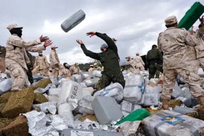 Canada News: कनाडा में 133 करोड़ की ड्रग्स तस्करी में पंजाब के 3 लोग गिरफ्तार