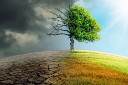 प्रकृति के लिए वरदान साबित हुई कोरोना महामारी, लॉकडाउन से प्रदूषण हुआ कम, हवा हुई शुद्ध