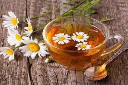 Chamomile Tea Benefits: गुणों का खजाना है कैमोमाइल टी, जानें इसके अनगिनत फायदे