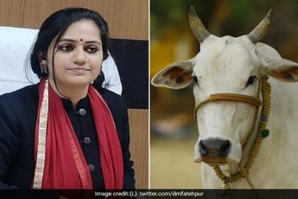 महिला IAS अफसर की गाय हुई बीमार, देखभाल के लिए 7 डॉक्टर तैनात, सरकारी आदेश की कॉपी सोशल मीडिया में वायरल