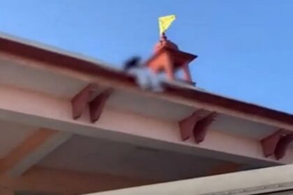 Punjab News: पति ने नहीं दिया खर्च तो बस स्टेशन की छत पर चढ़ी पत्नी, जमकर हंगामा