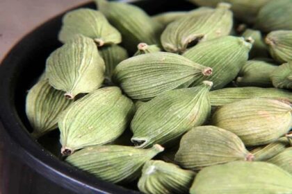Green Ilaichi Upaye: एक इलायची आपकी आर्थिक तंगी को मिनटों में कर सकती है दूर, पढ़ें