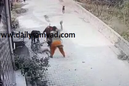 Punjab News: जालंधर में गुंडागर्दी का नंगा नाच, बेटी को छेड़ रहे लड़कों से भिड़ गई मां, गुंडों ने ईंट मारकर किया घायल, लड़की के कपड़े फाड़े, घर पर किया पथराव, देखें VIDEO