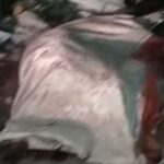 Jalandhar Crime News: जालंधर के इस इलाके में बंद बोरे से निकल रहा था खून, आ रही थी दुर्गंध, लोगों ने पास जाकर देखा तो उड़ गए होश