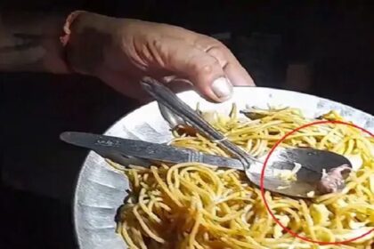 Jalandhar News: जालंधर में अब इस रैस्टोरेंट के नूडल्स में निकला मरा हुआ चूहा, नूडल्स खाने से महिला की सेहत बिगड़ी