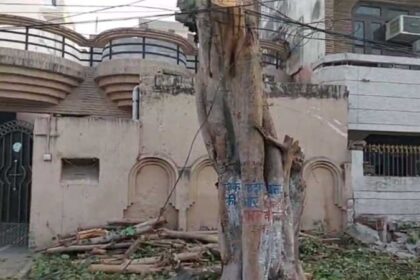 Jalandhar News: जालंधर में पीपल का पेड़ काटने पर जमकर हंगामा, दो कश्मीरी काबू