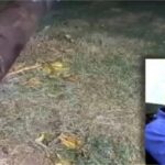 Punjab News: जहाँ कल तूफान से नुकसान वही एक पत्रकार की मौत