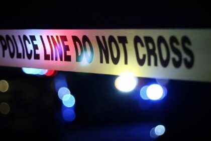 Punjab News: पसंद की सब्जी न बनाने पर युवक ने ली अपनी मां की जान