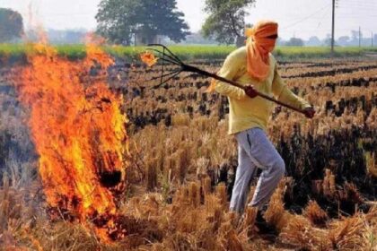 Stubble Burn: पराली जलाने वाले किसानों के खिलाफ कार्रवाई नहीं, जागरूक करेगी सरकार