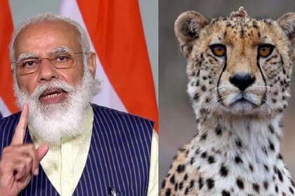 PM Modi Birthday: प्रधानमंत्री नरेंद्र मोदी का जन्मदिन आज, देश को देंगे बड़ी सौगात