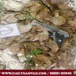 Pak-ISI-backed terror module behind Batala grenade attack attempt