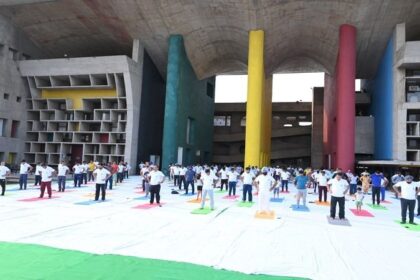 International Yoga Day: पंजाब और हरियाणा हाईकोर्ट में मनाया गया अंतरराष्ट्रीय योग दिवस