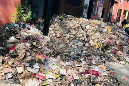 Punjab News: नगर निगम कमिश्नर दफ्तर के बाहर मुलाजिमों ने लगा दिया कूड़े का ढेर, जमकर हंगामा