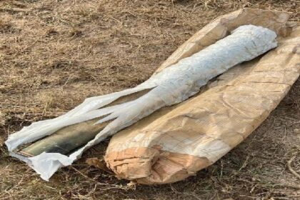 Punjab News: पंजाब पुलिस की बड़ी कार्रवाई, लोडेड आरपीजी के साथ तीन गिरफ्तार