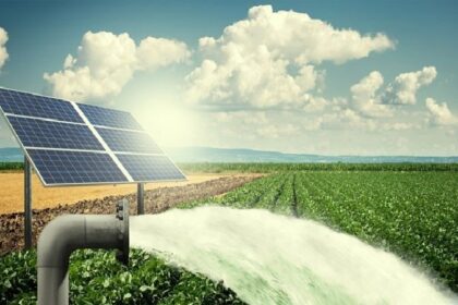 Punjab News: पंजाब ने उत्तर-पूर्वी और पहाड़ी राज्यों की तर्ज़ पर 15 एच. पी. तक के खेती पंपों को सौर ऊर्जा पर करने के लिए माँगी वित्तीय सहायता