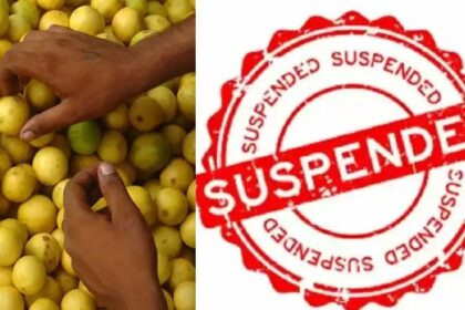 पंजाब: नींबू खरीदने में घोटाला, सरकार ने सुपरिटैंडेंट को किया सस्पैंड