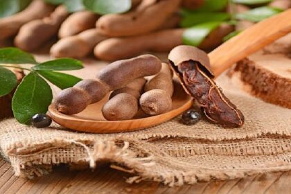 Tamarind Health Benefits: गुणों का भंडार है खट्टी-मीठी इमली, जानें इसके फायदे