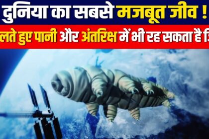 World Strongest Creature – यह है दुनिया का सबसे मजबूत जीव, जो खोलते हुए पानी में भी रह सकता है जिंदा!