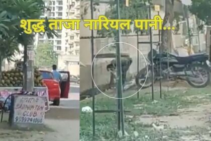 Viral Video: नारियल पर गंदे नाले का पानी छिड़क कर बेचने की VIDEO वायरल, देखें