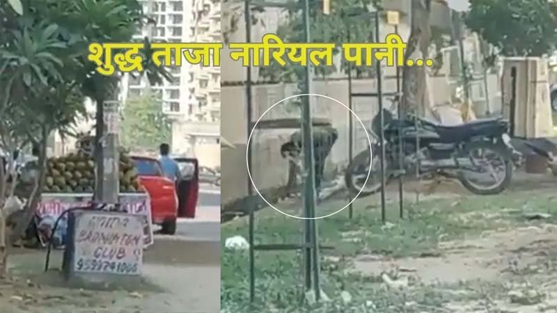 Viral Video: नारियल पर गंदे नाले का पानी छिड़क कर बेचने की VIDEO वायरल, देखें