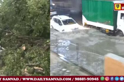 L- Many trees have fallen on Akbar Road. The work of clearing the road is going on this morning. R- Due to rain for several hours in Mahipalpur, the roads were flooded.