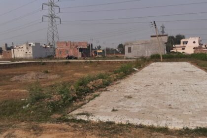 काला धंधा, गोरे लोग PART-1: जालंधर में White House ने नगर निगम को लगाया करोड़ों का चूना, तल्हण रोड पर काटी अवैध कालोनी, कमिश्नर साहब- अवैध कालोनी पर आखिर क्यों हैं 'मेहरबानी'