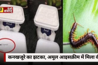 Amul ice cream centipede: चौंकाने वाली घटना! भरोसा टूटा, अमूल आइसक्रीम में मिला कनखजूरा, खतरे में सेहत?