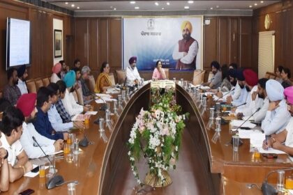 Punjab News: डॉ. बलजीत कौर ने अलग-अलग जिलों के अतिरिक्त डिप्टी कमीशनरों और एन.जी.ओज के साथ की बैठक, दिए ये आदेश