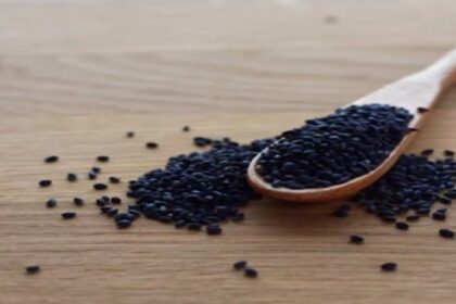 Basil Seeds Benefits: गुणों का खजाना है ये छोटे बीज, जानें क्या हैं बेसिल सीड्स के फायदे