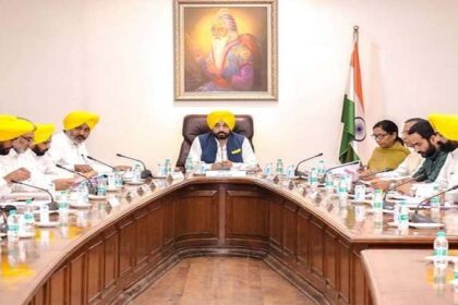 Punjab News: भगवंत मान कैबिनेट का बड़ा फैसला, इस अध्यादेश को दी मंजूरी, सरकारी नौकरी का रास्ता साफ