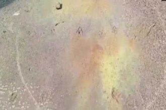 बंगाल में बवाल: मतदाऩ के दौरान कार सवार बदमाशों ने फेंका बम, मची भगदड़