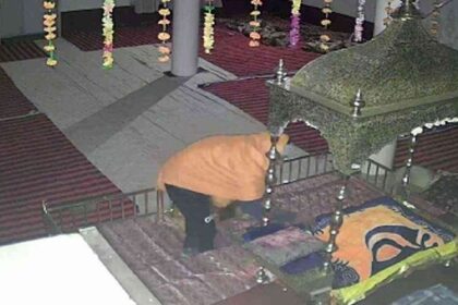 Punjab News: पंजाब के गुरुद्वारा साहिब में फिर हुई बेअदबी, ताले तोड़ गोलक से उड़ाई नकदी