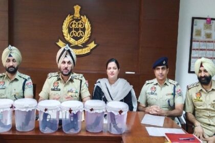 Punjab News: पंजाब पुलिस ने जेल में बंद दो बदमाशों के ठिकानों से बरामद की छह पिस्तौल