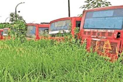 Punjab News: अधिकारियों की लापरवाही से 37 कंडम हुई सिटी बसों की होगी नीलामी, 17.50 करोड़ का हुआ नुकसान