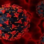 Chickenpox: जानें चिकनपॉक्स के नए वेरिएंट के बारे में सबकुछ