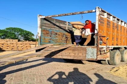 Jalandhar News: जालंधर जिले की मंडियों में लिफ्टिंग के काम में तेजी आई