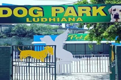 Dog Park: पंजाब में कुत्तों के लिए शुरू हुआ पार्क, स्विमिंग पूल से लेकर कॉफी कैफे और झूले भी लगे
