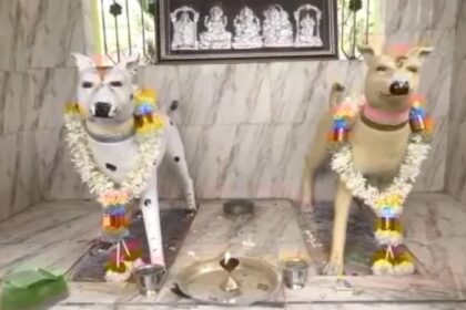 Dog Temple: इस मंदिर में होती है कुत्तों की पूजा, जानिए क्या है इसके पीछे की कहानी