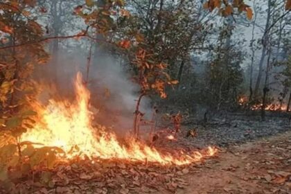 Punjab News: माता चिंतपूर्णी जाने वालों के लिए बड़ी खबर, रास्ते में माहौल हुआ खराब