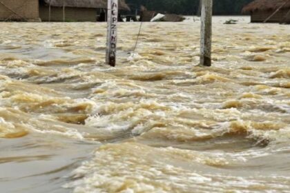 Flood In Punjab: पंजाब में बाढ़ को लेकर अलर्ट जारी, खोला गया सुखना लेक का Flood गेट