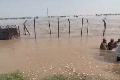 Flood In Punjab: पंजाब के जिला फिरोजपुर में हालात बेकाबू, कई गांव बाढ़ की चपेट में