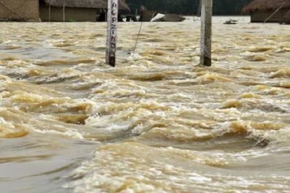 Flood In Punjab: पंजाब के लिए राहत भरी खबर, पाकिस्तान ने सुलेमानकी हेडवर्क्स के खोले 10 फ्लड गेट