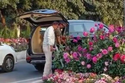 Gamla Chor: गुरुग्राम का गमला चोर गिरफ्तार, फूलों के साथ लग्जरी गाड़ी भी जब्त