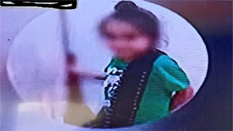 Promote Gun Culture: पंजाब में 10 साल के बच्चे पर पुलिस ने दर्ज किया केस