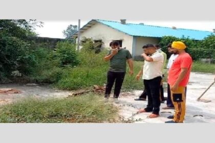 Punjab News: खेतों में मरे हुए सुअर फेंके जाने से गांव के लोगों का हो रहा जीना मुश्किल